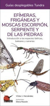 EFIMERAS FRIGANEAS Y MOSCAS ESCORPION SERPIENTE Y DE PIEDRA - 9788418458514